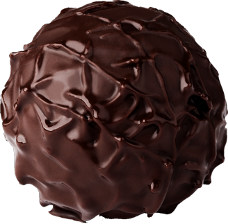 Savannah Stamina Date & Nut Truffle